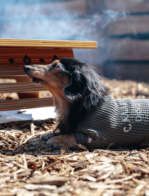 足に優しいウッドチップ