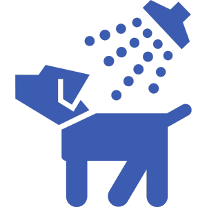 セルフシャンプールーム