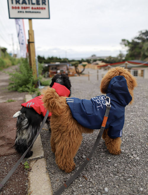 ワンコグッズ貸出