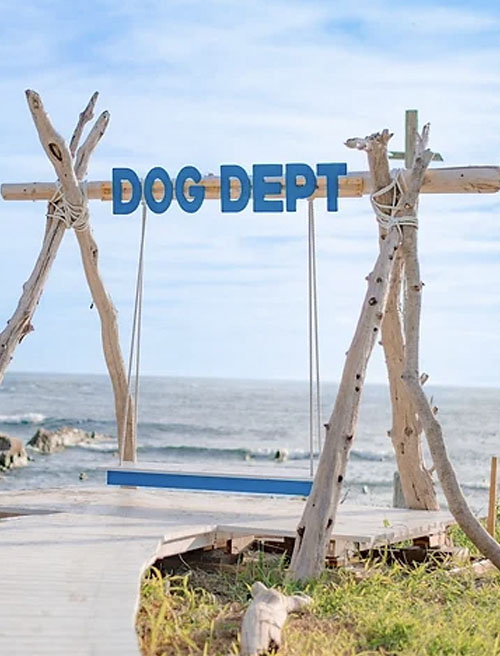 フォトスポット多数