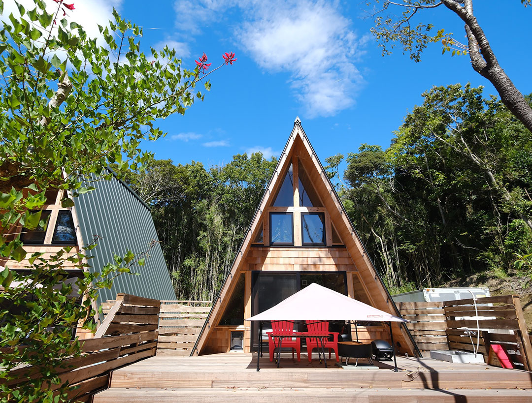 THE DOG DEPT GARDEN RESORT THE OCEAN 安房白浜キャンプ