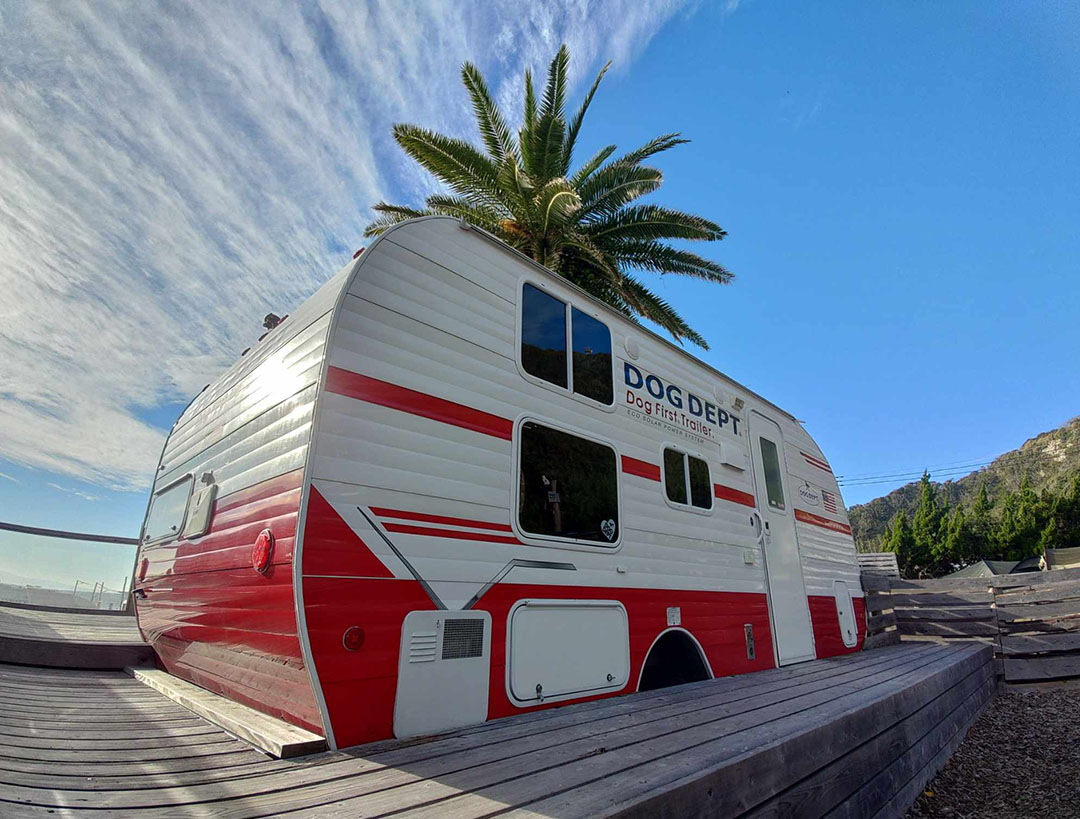 THE DOG DEPT GARDEN RESORT THE OCEAN 安房白浜キャンプ