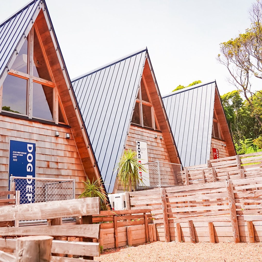 THE FOREST OCEAN VIEW 館山 | THE DOG DEPT GARDEN RESORT 南房総 キャンプハウス