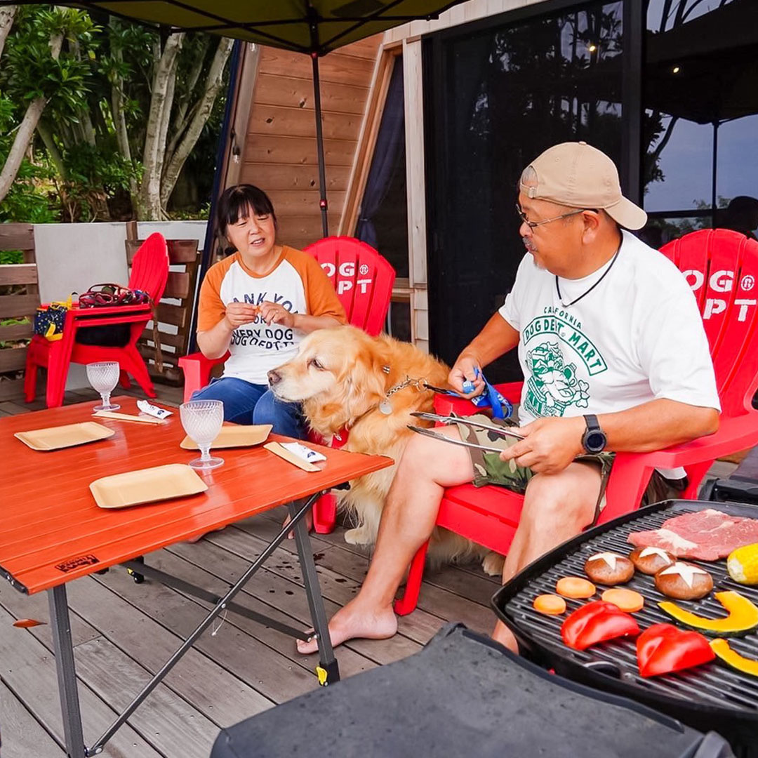 THE FOREST OCEAN VIEW 館山 | THE DOG DEPT GARDEN RESORT 南房総 キャンプハウス