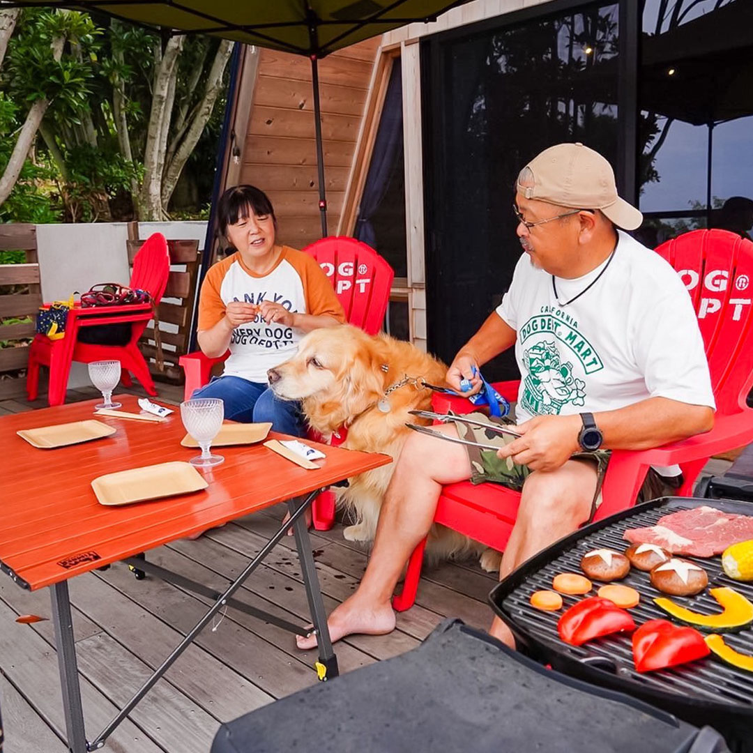 THE FOREST OCEAN VIEW 館山 | THE DOG DEPT GARDEN RESORT 南房総 キャンプハウス
