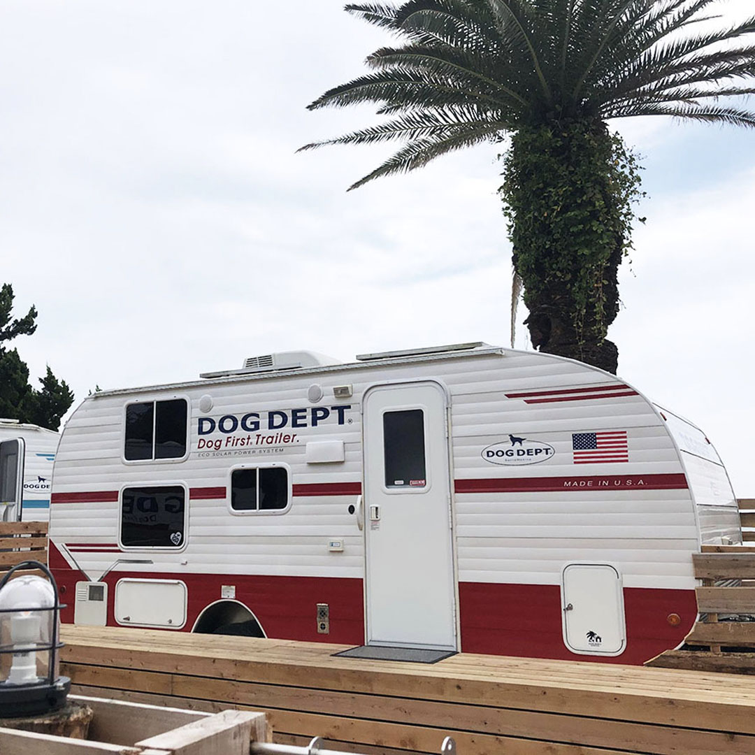 THE OCEAN 安房白浜 | THE DOG DEPT GARDEN RESORT 南房総 トレイラー