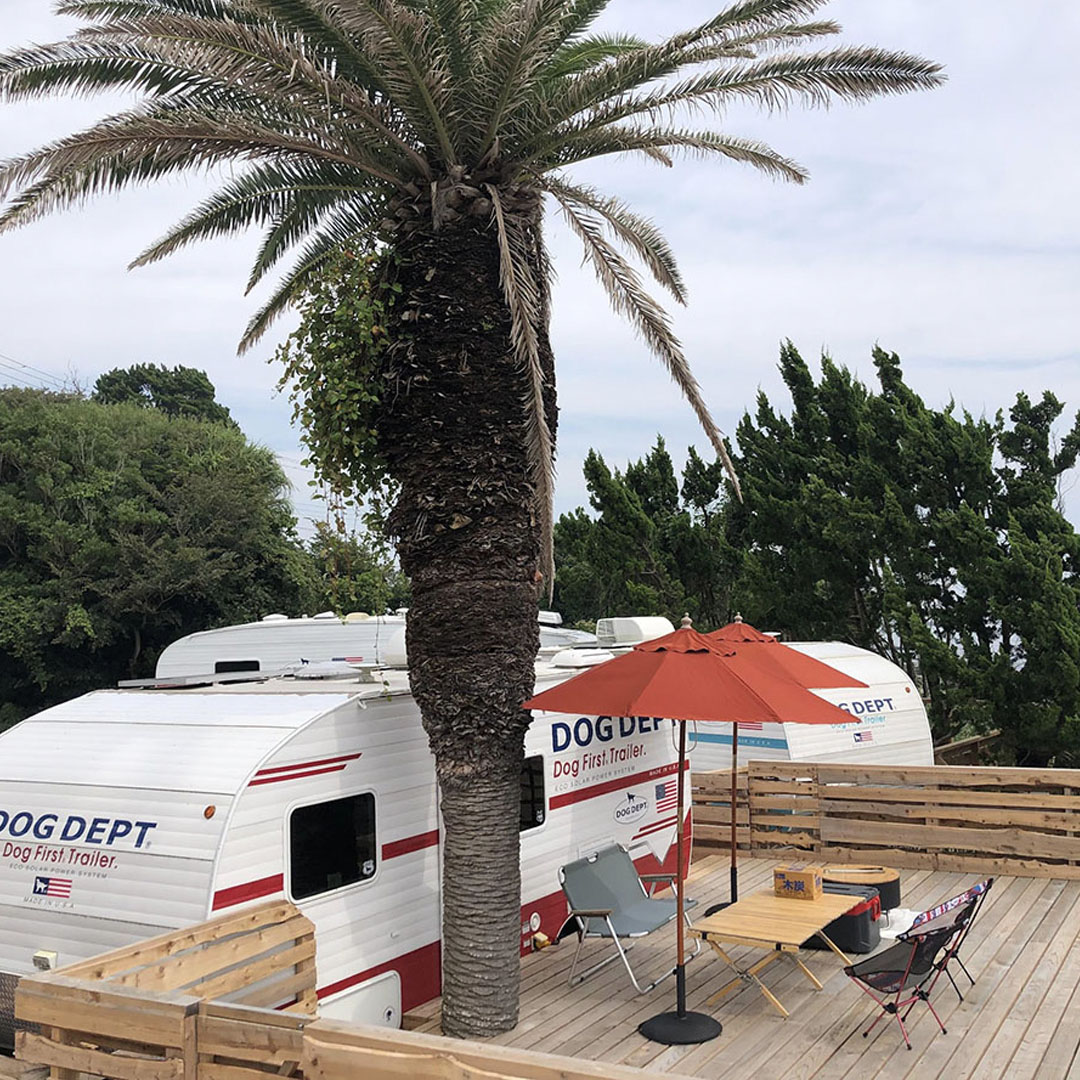 THE OCEAN 安房白浜 | THE DOG DEPT GARDEN RESORT 南房総 トレイラー