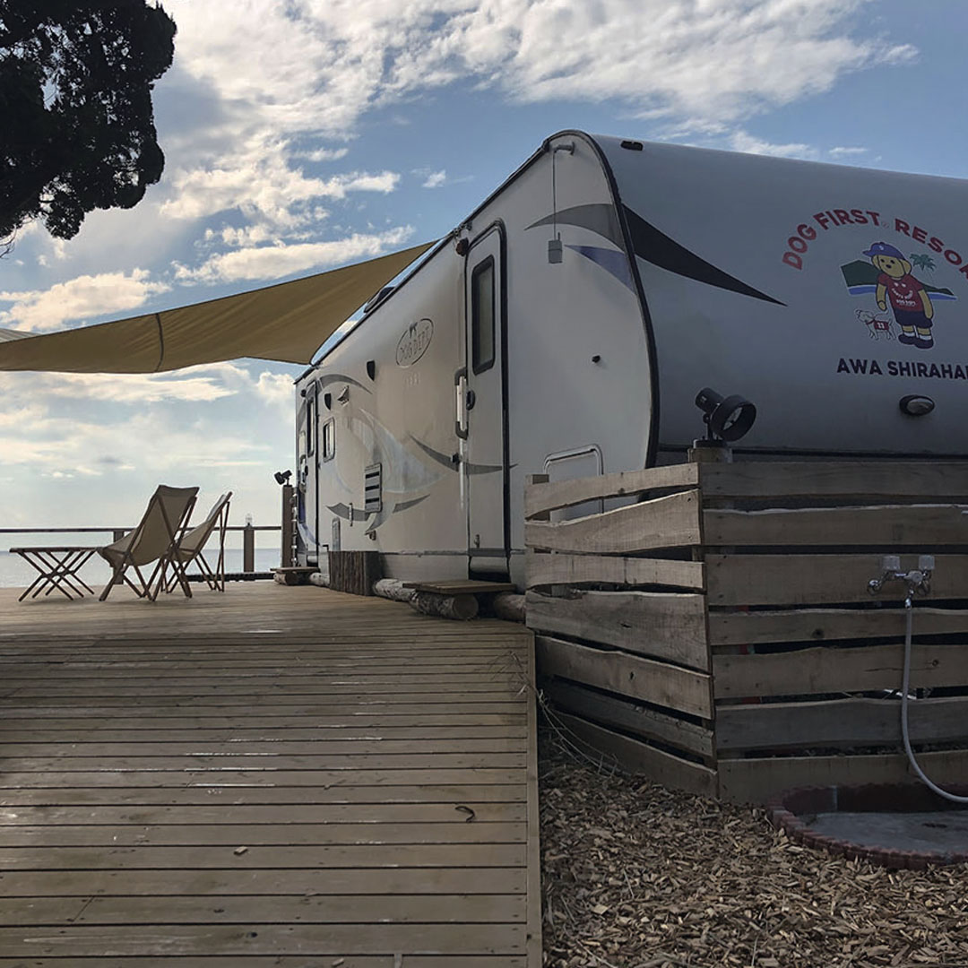 THE OCEAN 安房白浜 | THE DOG DEPT GARDEN RESORT 南房総 トレイラー