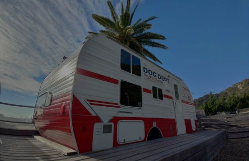 THE DOG DEPT GARDEN RESORT 南房総 最新情報SNS