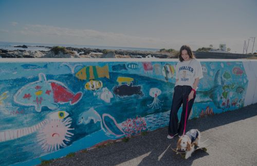 THE DOG DEPT GARDEN RESORT 南房総 周辺情報MAP